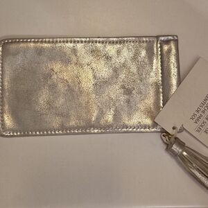 Silver Metallic Sunglass Case